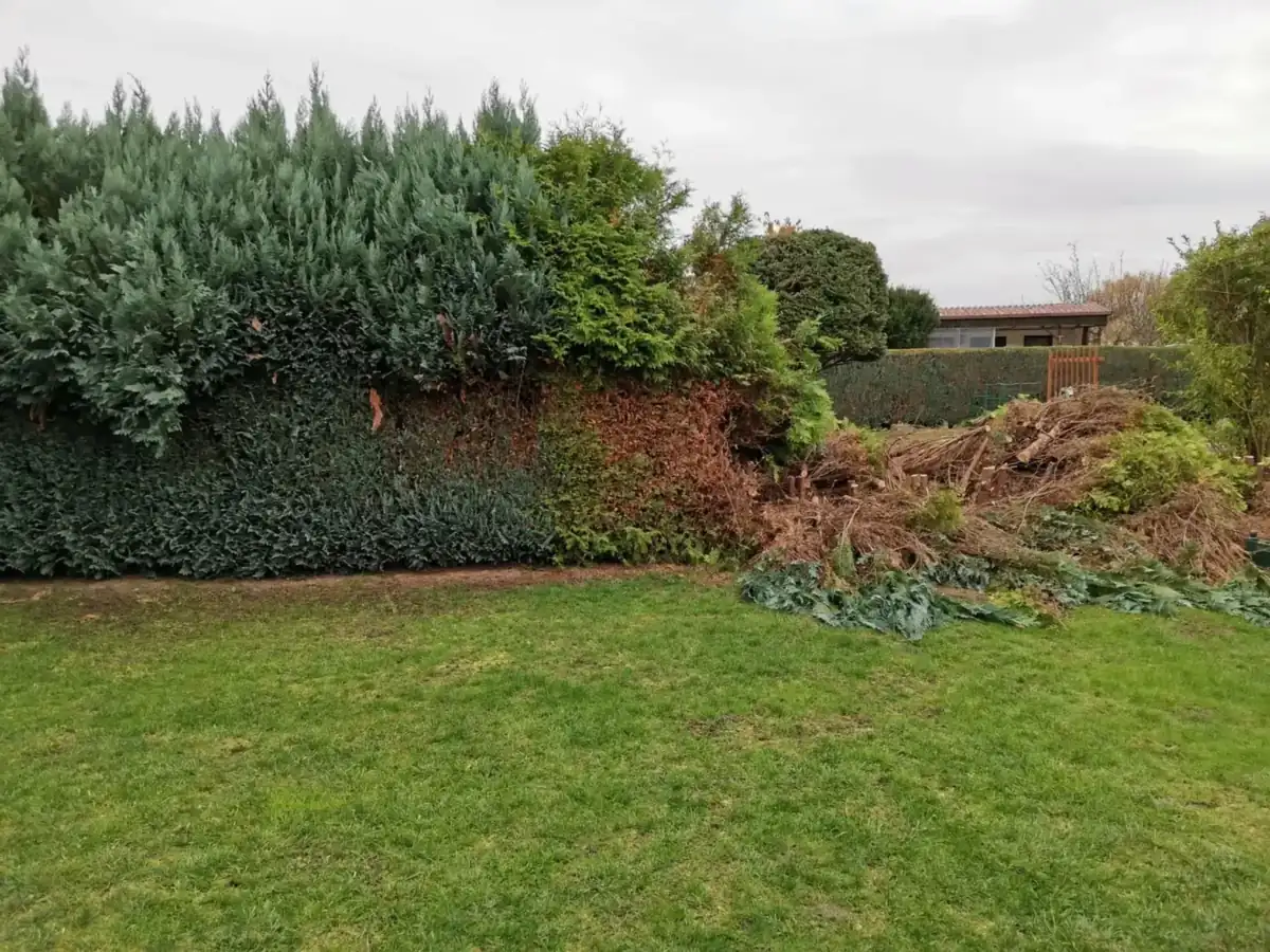 Gartenfläche während eines kräftigen Rückschnitts mit gesammeltem Schnittgut