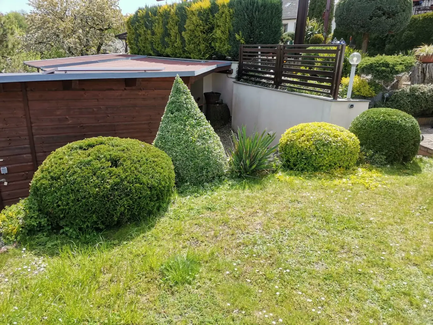 Ziergarten mit kegelf&ouml;rmig und rund geschnittenen immergr&uuml;nen Geh&ouml;lzen